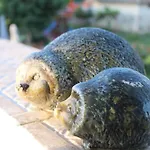 света марина