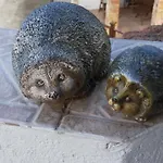 света марина