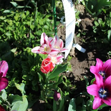 Gasthof света марина 3*