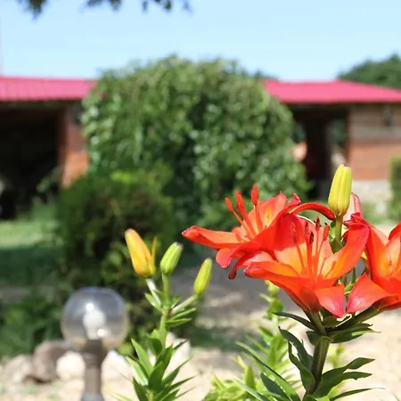 света марина Pensiune Krapeț