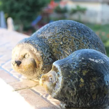 света марина