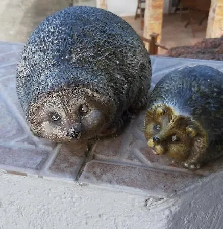 света марина