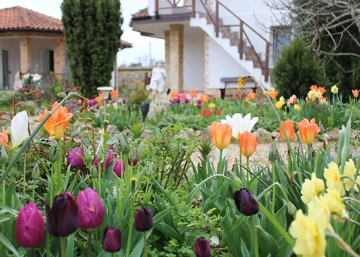 Guest house света марина Krapets (Dobrich)
