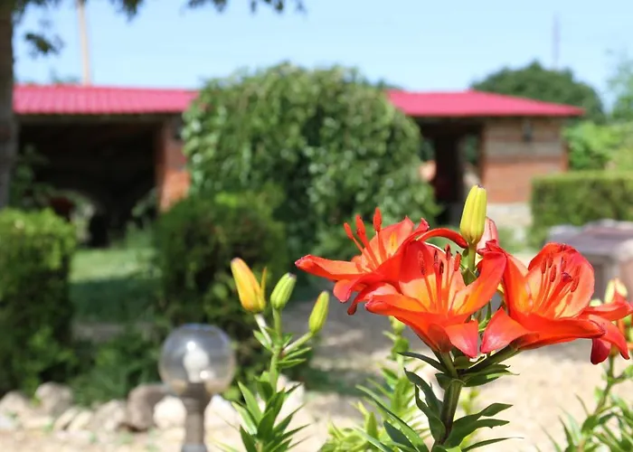 света марина Gæstehus Krapets (Dobrich)