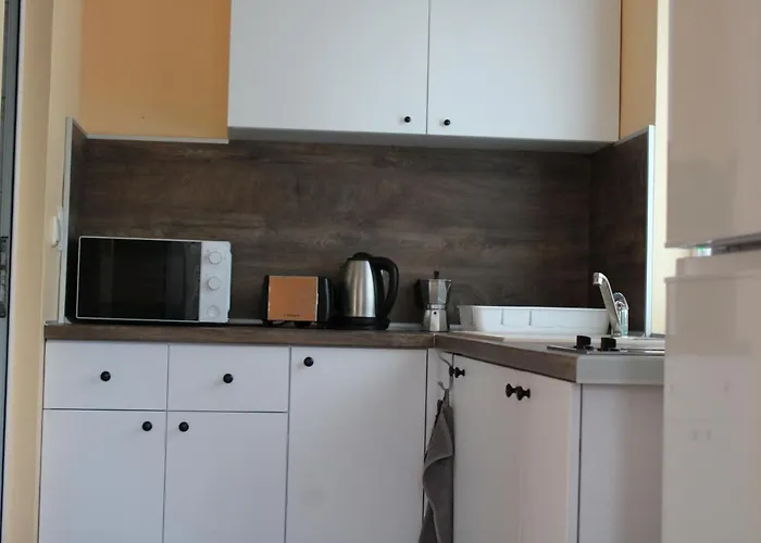 света марина 3*