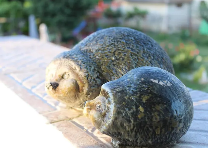 света марина