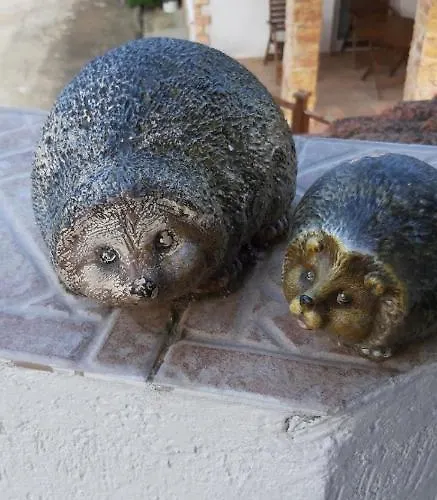 света марина